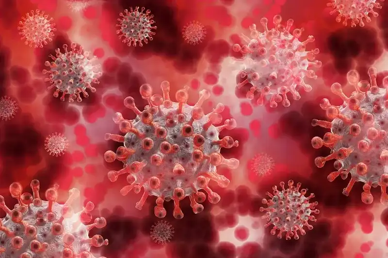 Minden eddiginél „jelentősebb” lehet a most felfedezett koronavírus-mutáció 