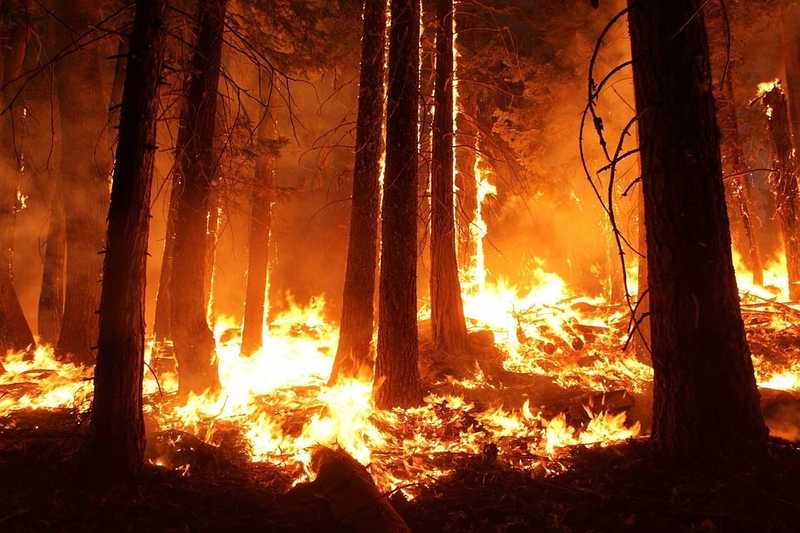Újabb erdőtűz lángol Kaliforniában