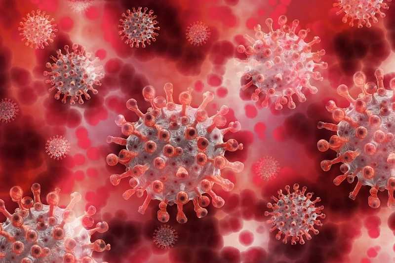 Francia kutatók szerint a kevésbé fertőzötteknél is kialakul immunitás