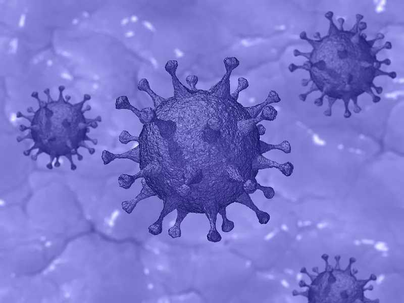 Koronavírussal kapcsolatos tévhiteket oszlat el a WHO